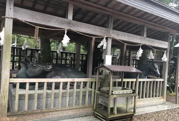 出雲大社の写真・動画_image_404648