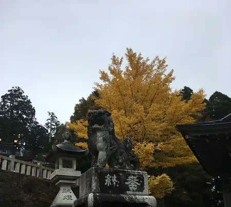 秋葉山の写真・動画_image_404755