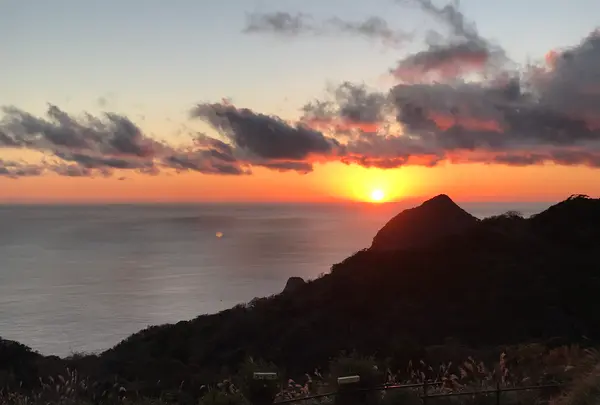 南伊豆夕日ヶ丘キャンプ場の写真・動画_image_404798
