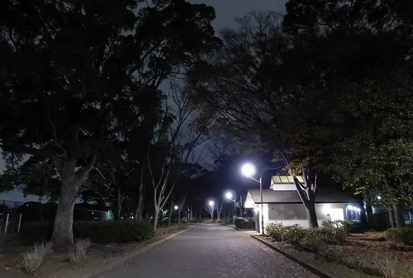 篠崎公園の写真・動画_image_405078