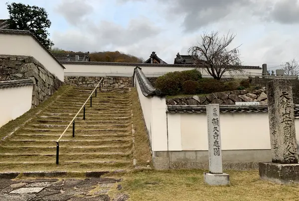 天柱山 頼久寺の写真・動画_image_405188