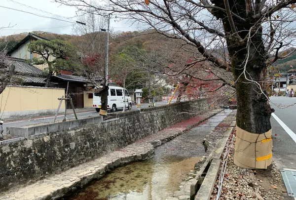 紺屋川美観地区の写真・動画_image_405193