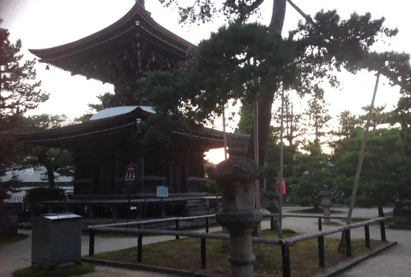 智恩寺の写真・動画_image_40520