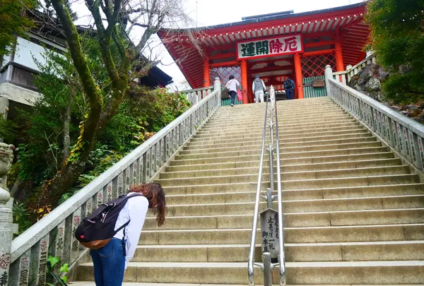 高尾山薬王院（有喜寺）の写真・動画_image_405233