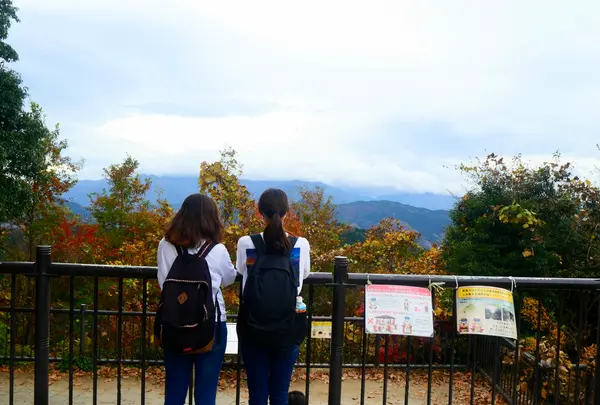 高尾山の写真・動画_image_405240