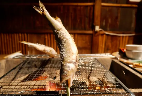 ごん助の写真・動画_image_405261
