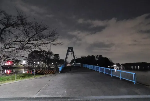 水元公園の写真・動画_image_405302