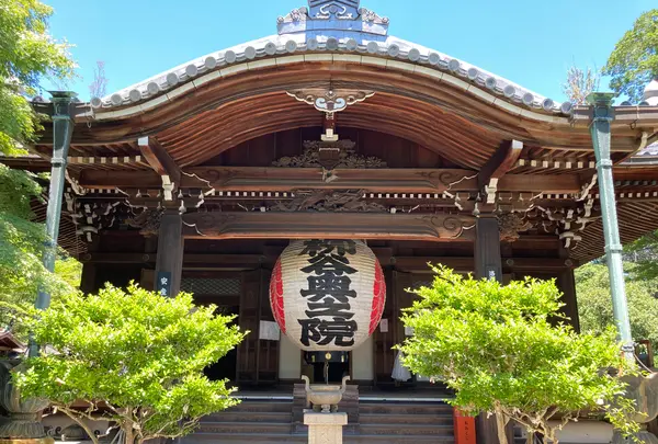 柳谷観音(楊谷寺）の写真・動画_image_405329
