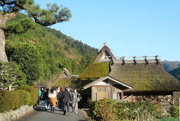 美山かやぶきの里の写真・動画_image_405346