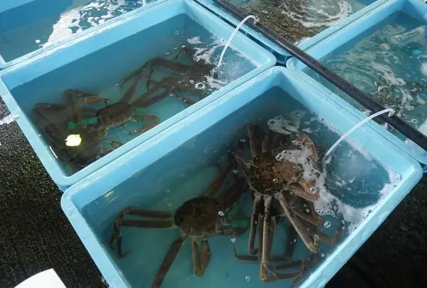 舞鶴西港の写真・動画_image_405362