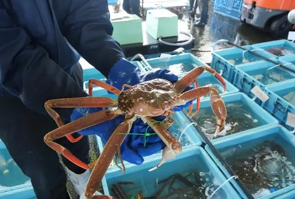 舞鶴西港の写真・動画_image_405364