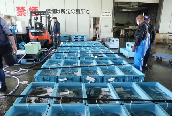 舞鶴西港の写真・動画_image_405365