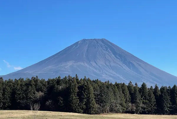 道の駅 朝霧高原の写真・動画_image_406406