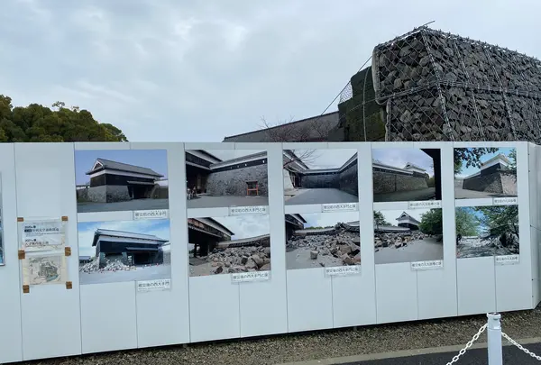 熊本城の写真・動画_image_406578