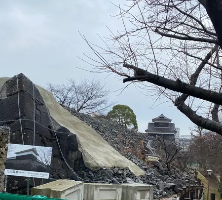 熊本城の写真・動画_image_406579