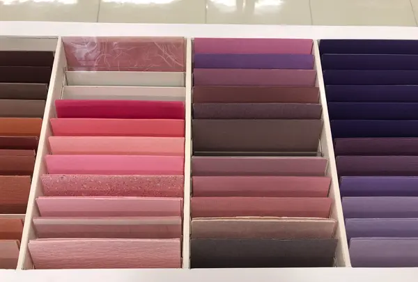 竹尾 見本帖本店の写真・動画_image_406661