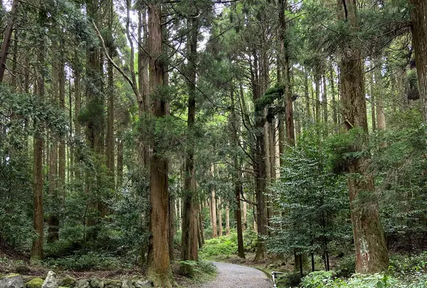 山神社