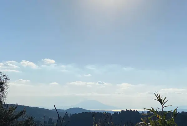 霧島神宮の写真・動画_image_407037