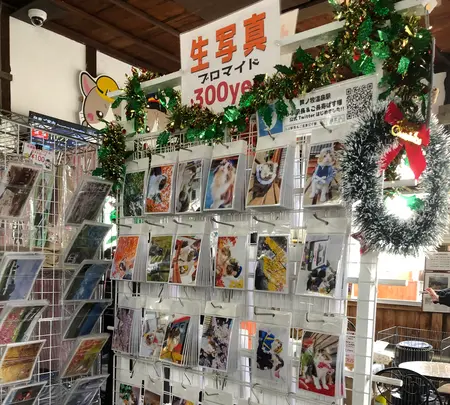 会津鉄道株式会社の写真・動画_image_407341