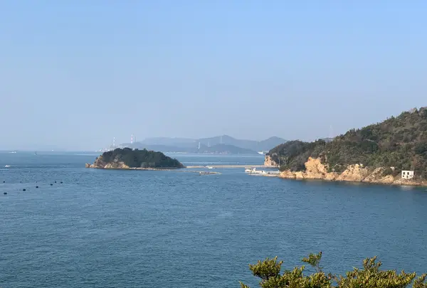 三枚の正方形の写真・動画_image_407733