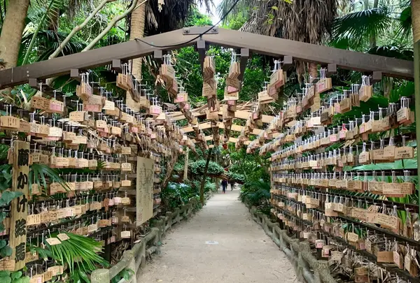 青島神社 「祈りの古道」