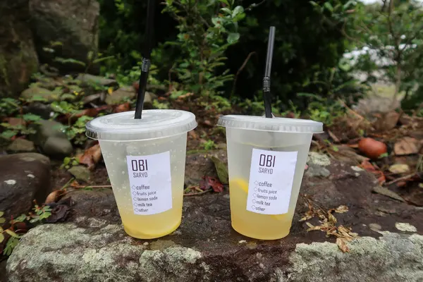 武家屋敷 伊東邸の写真・動画_image_408514