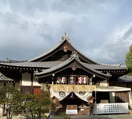 道後温泉 空の散歩道の写真・動画_image_408680