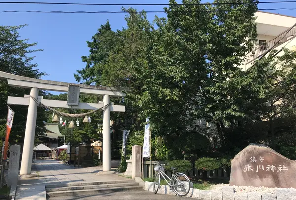 鎮守氷川神社の写真・動画_image_408707