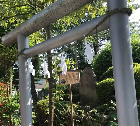 鎮守氷川神社の写真・動画_image_408710
