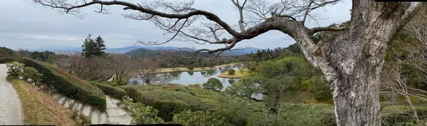 修学院離宮の写真・動画_image_409111
