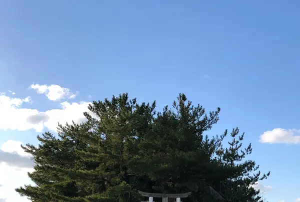 箱島神社の写真・動画_image_409724