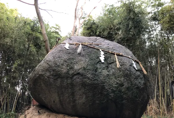 神在神社の写真・動画_image_409727