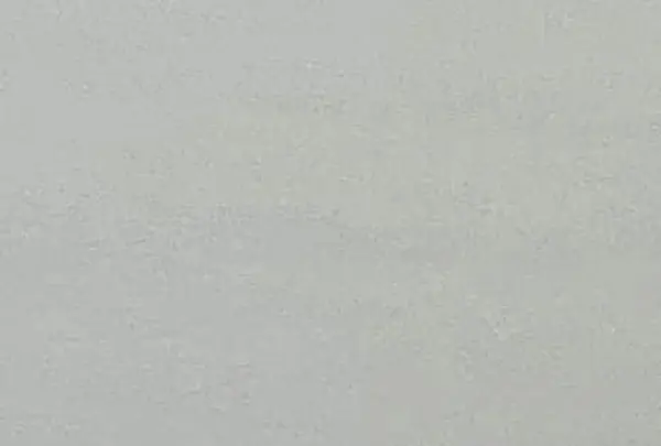 相島の写真・動画_image_409834