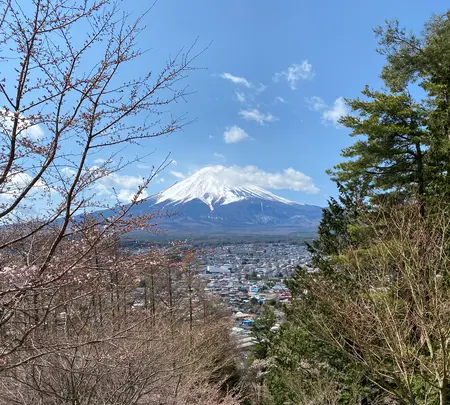 新倉山浅間公園の写真・動画_image_409840