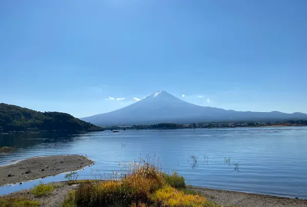 河口湖木ノ花美術館の写真・動画_image_409846