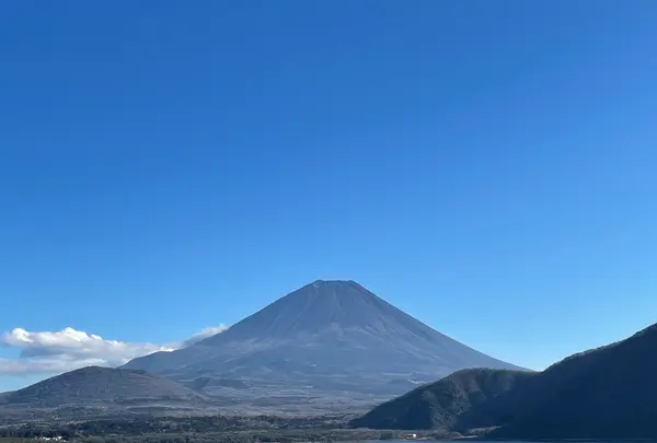 展望公園の写真・動画_image_409853