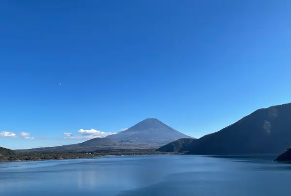 展望公園の写真・動画_image_409855