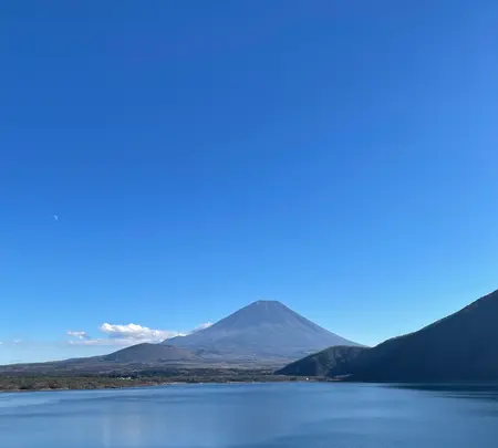 展望公園の写真・動画_image_409856