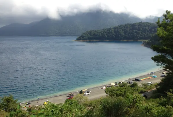 展望公園の写真・動画_image_409859