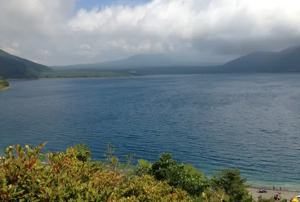 展望公園の写真・動画_image_409860