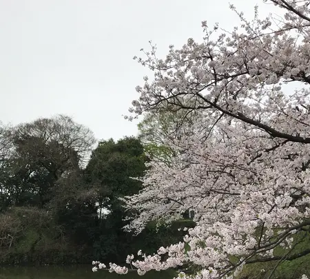 下之橋御門の写真・動画_image_410096