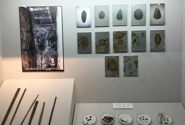 鴻臚館跡展示館の写真・動画_image_410113