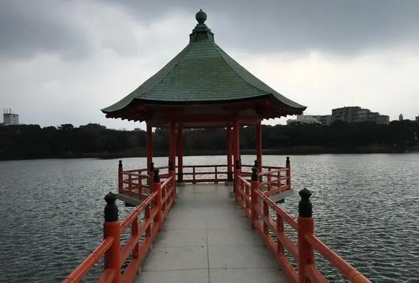 大濠公園の写真・動画_image_410120