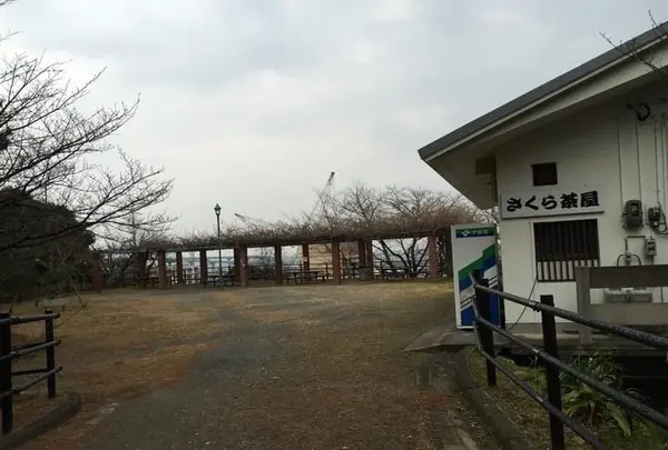 西公園の写真・動画_image_410127