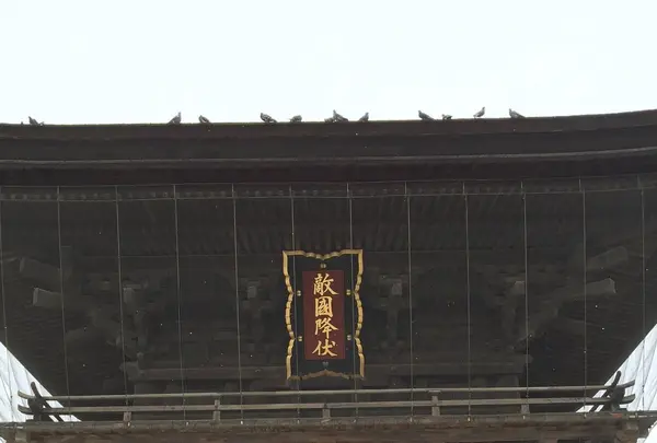 筥崎宮の写真・動画_image_410151