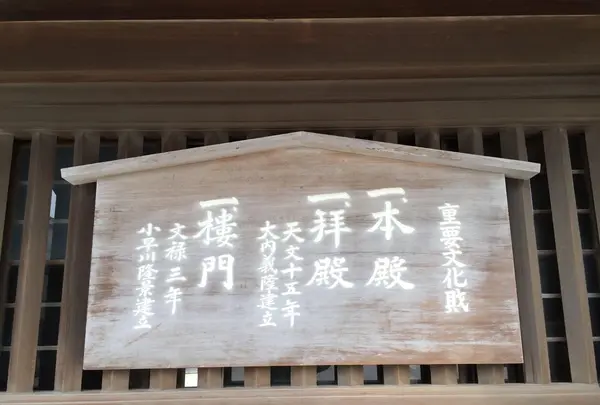 筥崎宮の写真・動画_image_410152