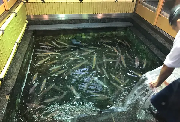 稚加榮本舗の写真・動画_image_410171