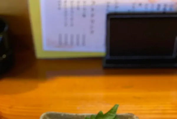 西中洲しん進の写真・動画_image_410193