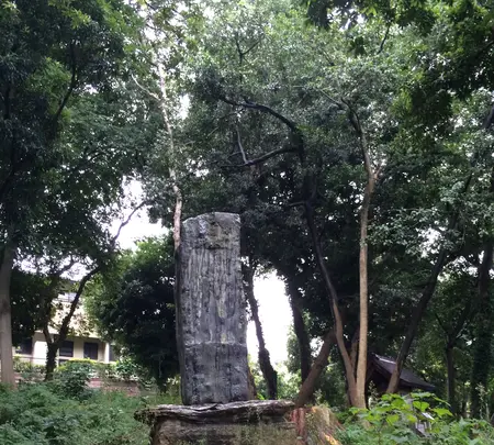 平尾山荘の写真・動画_image_410212