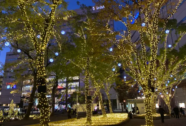 警固公園の写真・動画_image_410246